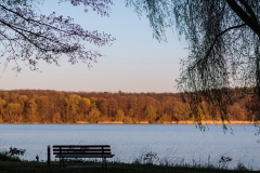 32nd VH Yeast Conference 15.-16. April 2019 Inselhotel Potsdam GERMANY